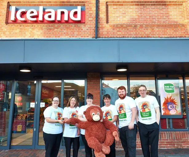 Iceland: The frozen food retailer is going green and picking up new customers on the way - Business Live