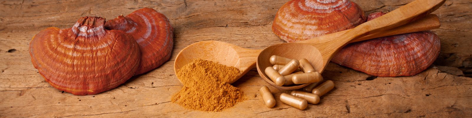 Reishi