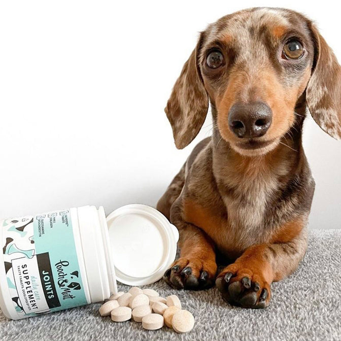Dog Joint Care Supplements | Glucosamine & Chondroitin for Dogs