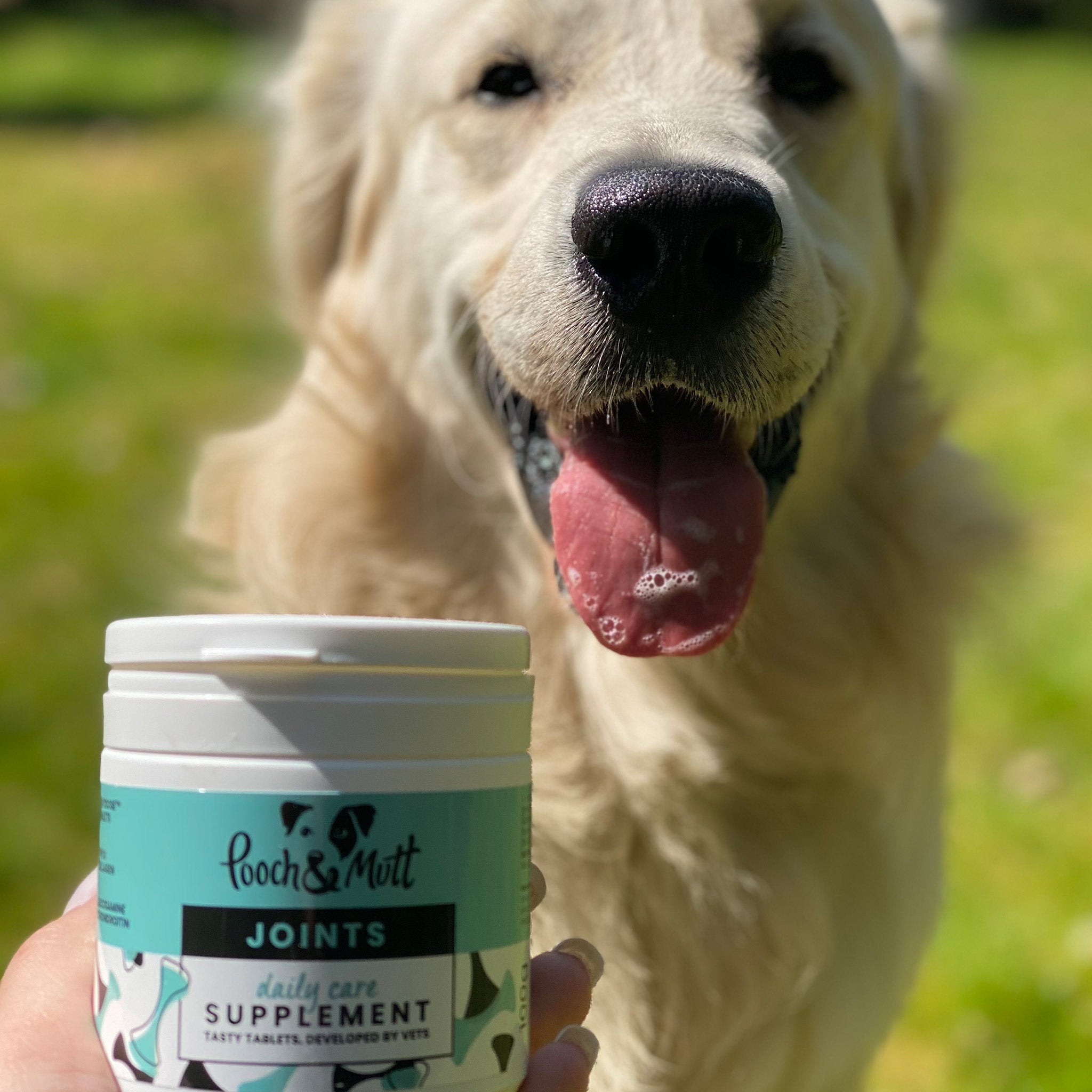 Dog Joint Care Supplements | Glucosamine & Chondroitin for Dogs