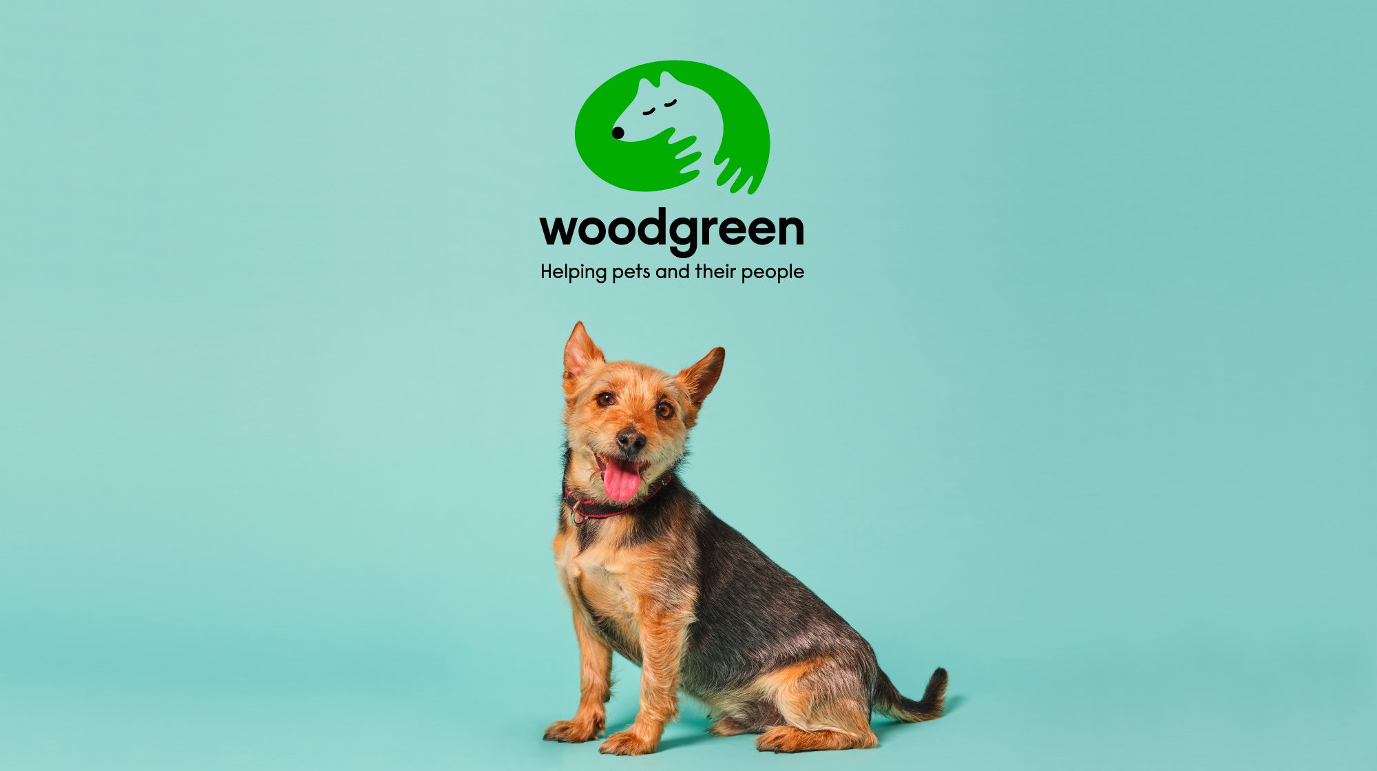 Pooch & Mutt X Woodgreen Pets Charity | The Dog Blog | Pooch & Mutt