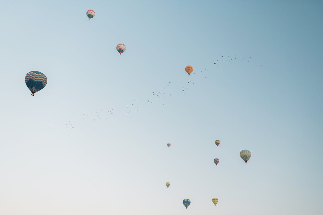 Free Colorful hot air balloons flying in cloudless sky Stock Photo